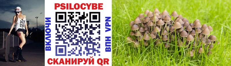 Псилоцибиновые грибы Cubensis  Санкт-Петербург 