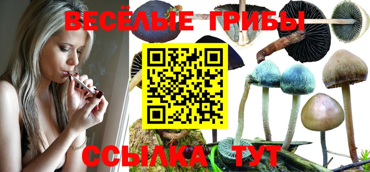 Псилоцибиновые грибы GOLDEN TEACHER Санкт-Петербург