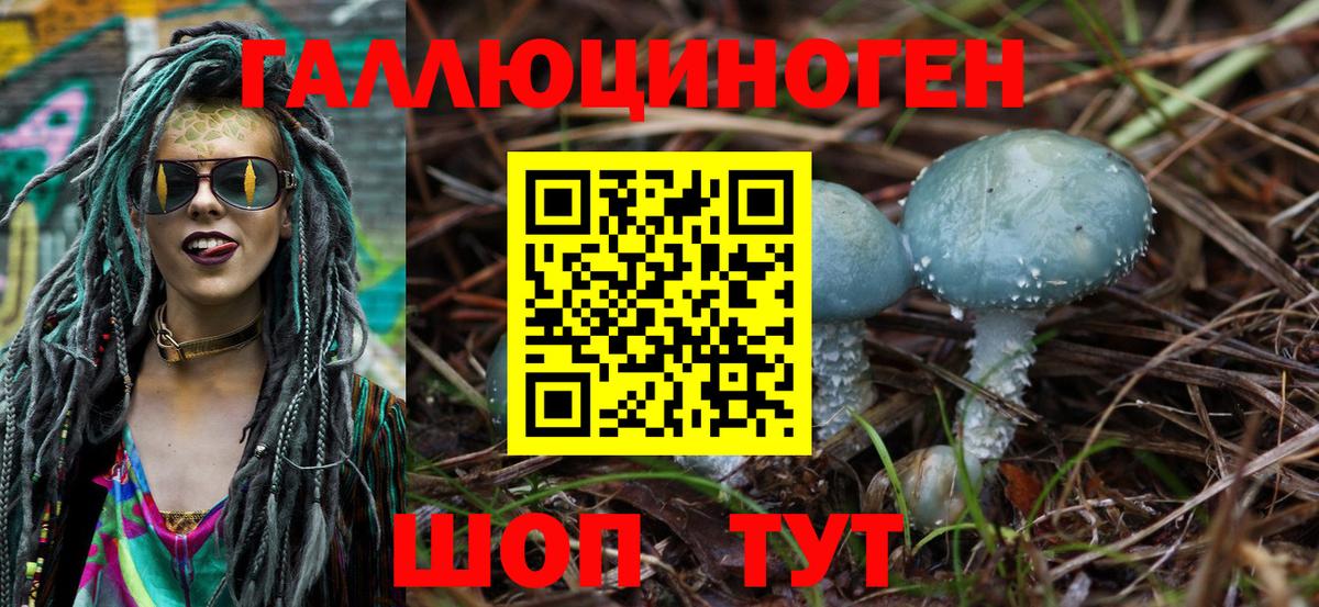 Псилоцибиновые грибы Cubensis Санкт-Петербург