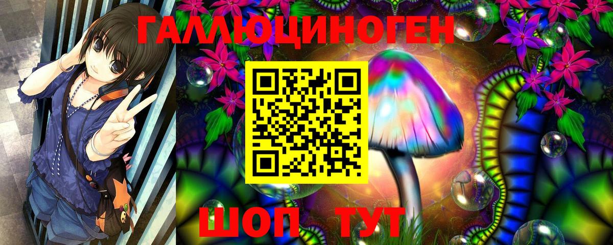 закладки  Вход с VPN  Галлюциногенные грибы прущие грибы  Санкт-Петербург  Псилоцибиновые грибы GOLDEN TEACHER 