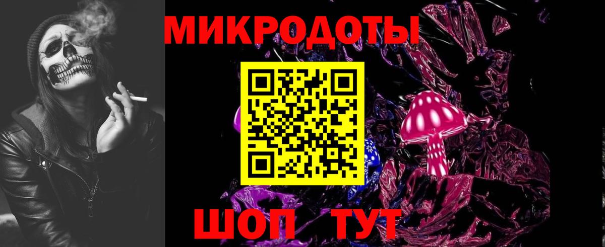 Псилоцибиновые грибы мицелий  Псилоцибиновые грибы Cubensis  Санкт-Петербург 