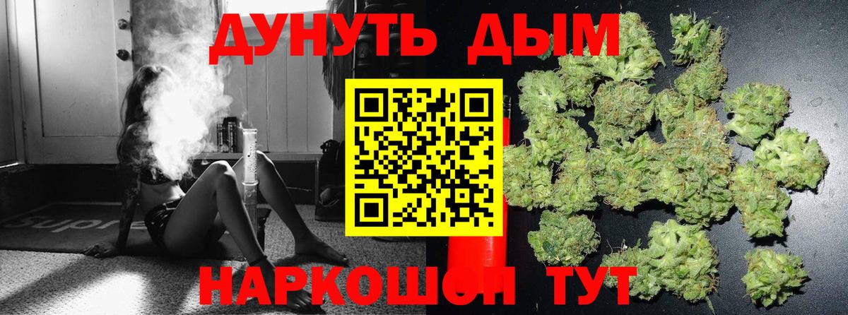 Бошки Шишки гибрид Санкт-Петербург